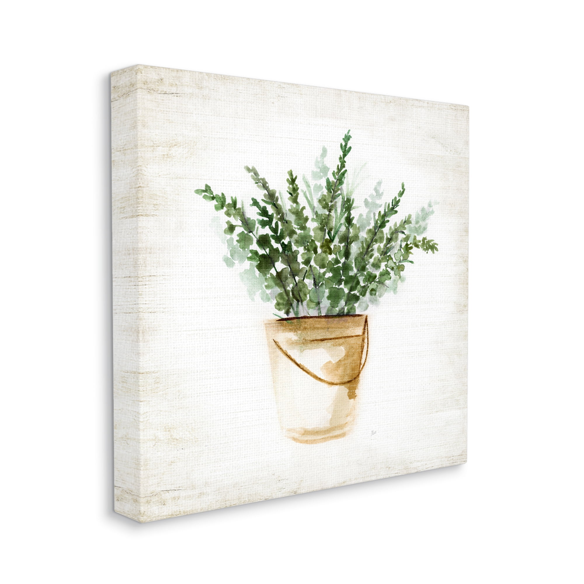 Stupell Industries Potted Eucalyptus Herb Botanical & Floral Painting Gallery Wrapped Canvas Art Print Wall Art, 24 x 24