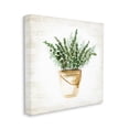 thumbnail image 4 of Stupell Industries Potted Eucalyptus Herb Botanical & Floral Painting Gallery Wrapped Canvas Art Print Wall Art, 17 x 17, 4 of 8
