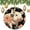 pattern-1, variant on Ornament Vintage Pig Stocking Name Tags Oil Painting Lovely Animal Pink Pig for Boys Girls Round Ceramic Christmas Decoration Gifts Keepsake for Family