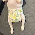 thumbnail image 1 of CBFFDC Waterproof Dog Diaper Pet Menstrual Pants Lemon Pattern Female Dog Sanitary Diaper Shorts Washable with Hook and Loop Fastening, 1 of 6