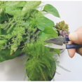 thumbnail image 5 of 9 Pcs Bonsai Tools With Soil Moisture Meter, 3-in-1 Moisture, 5 of 5
