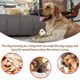 thumbnail image 5 of Muyoka Kyoffiie Dog Molar Toy Bone Shape Nylon Dog Chew Toy con sabor a carne real para masticadores agresivos Cuidado del cepillo de dientes para perros Juguetes para masticar para perros pequeños, m Muyoka Hogar, 5 of 7