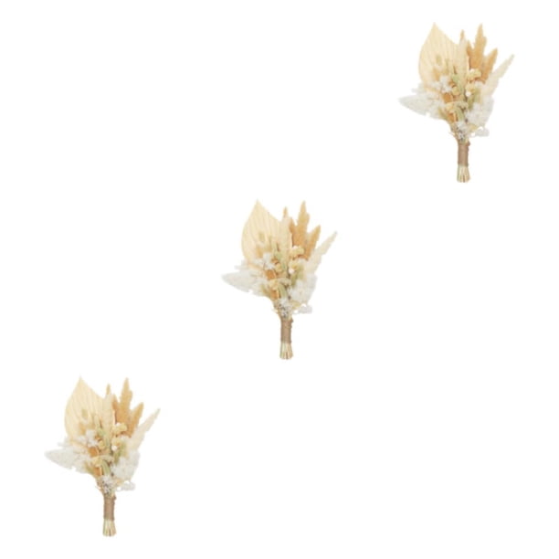 Wosthever Hierba de pampa artificial Plantas naturales Ramas Hojas de palma para sala de estar Type1 NO1