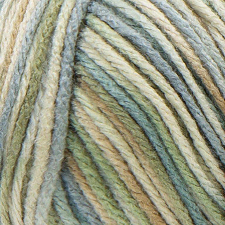 Coeur Rouge Super Saver Yarn-aspen