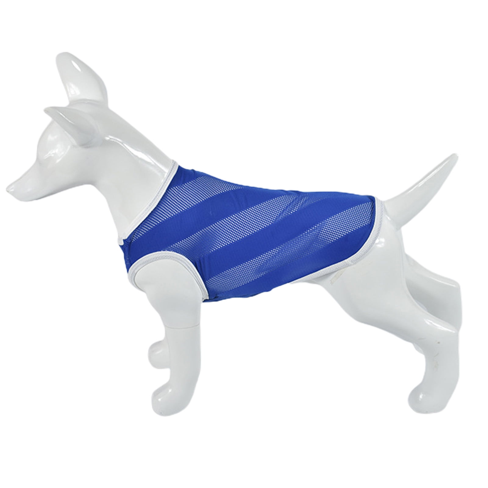Are Dogs Attracted To A Certain Color are-dogs-attracted-to-a-certain-color