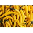 thumbnail image 5 of Peru Food Aji Amarillo Pasta SIN PICANTE Sazonador - Hot Yellow Pepper Paste NON SPICY Seasoning - 7.5oz Jar, 5 of 5