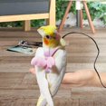 thumbnail image 2 of Arnés ajustable para pájaros con correa de 80 pulgadas, Kit de vuelo al aire libre, cuerda de entrenamiento para pájaros, loros, cacatúas, 2 of 5