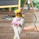 thumbnail image 2 of Arnés ajustable para pájaros con correa de 80 pulgadas, Kit de vuelo al aire libre, cuerda de entrenamiento para pájaros, loros, cacatúas XL, 2 of 5