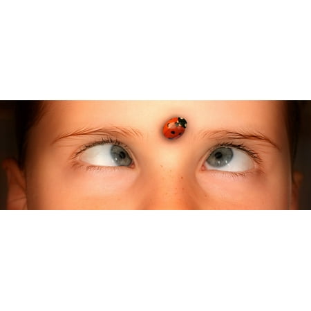 Bug Watch - LAMINATED POSTER Ladybug Human Person Eyes Squint Watch Girl Poster 24x16 Adhesive Decal
