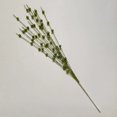 thumbnail image 1 of Guirnalda de flores con purpurina, 25 tallos y 12 ramas con cuentas, decoración navideña, guirnalda de bolas de bayas con polvo dorado, adorno artificial de tallo con purpurina, 1 of 2