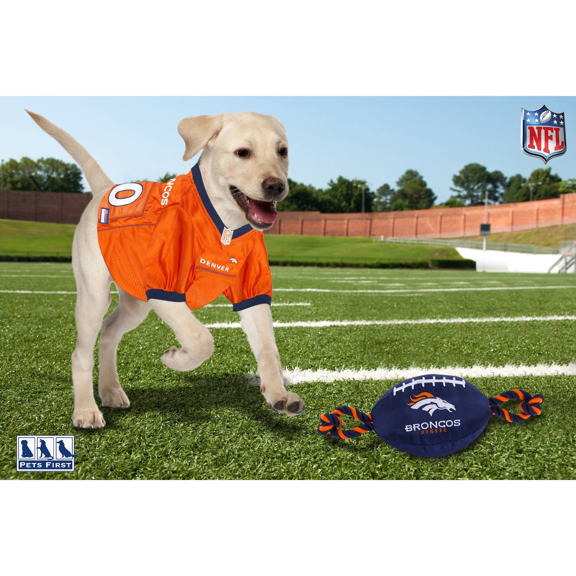 Pets First Nfl Denver Broncos Nylon Football-Licensed