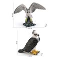 thumbnail image 3 of Set de figuras Realistic Bird Harpia Eagle y cernícalo americano, 3 of 3
