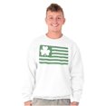 thumbnail image 5 of St Patrick's Day Irish-American Pride Sweatshirt for Men or Women Brisco Brands L, 5 of 6