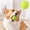 Green, variant on Squeaky Dog Ball Toy, Soft Rubber Interactive Chew Toy for Puppy Teething, Textured Bouncy Pet Play Ball for Small Medium Dogs, Colorful Fetch Toy for Indoor Outdoor Play