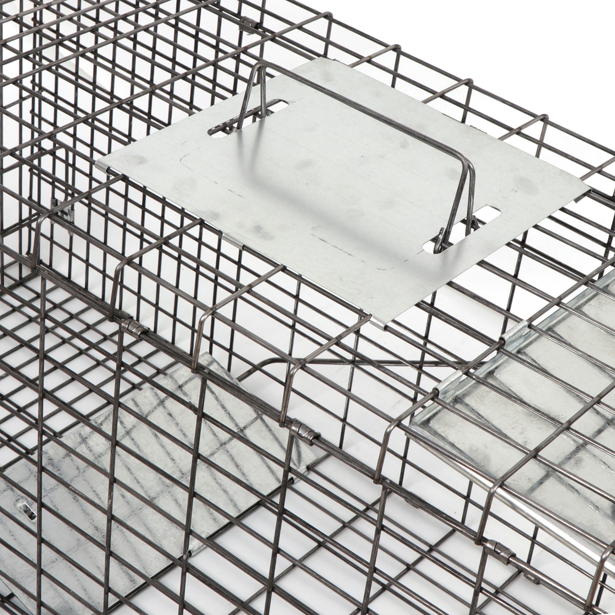 ZENSTYLE 32" Animal Traps - 32"x12.5"x12" Humane Rodent Cage for Rabbits, Groundhog, Squirrel