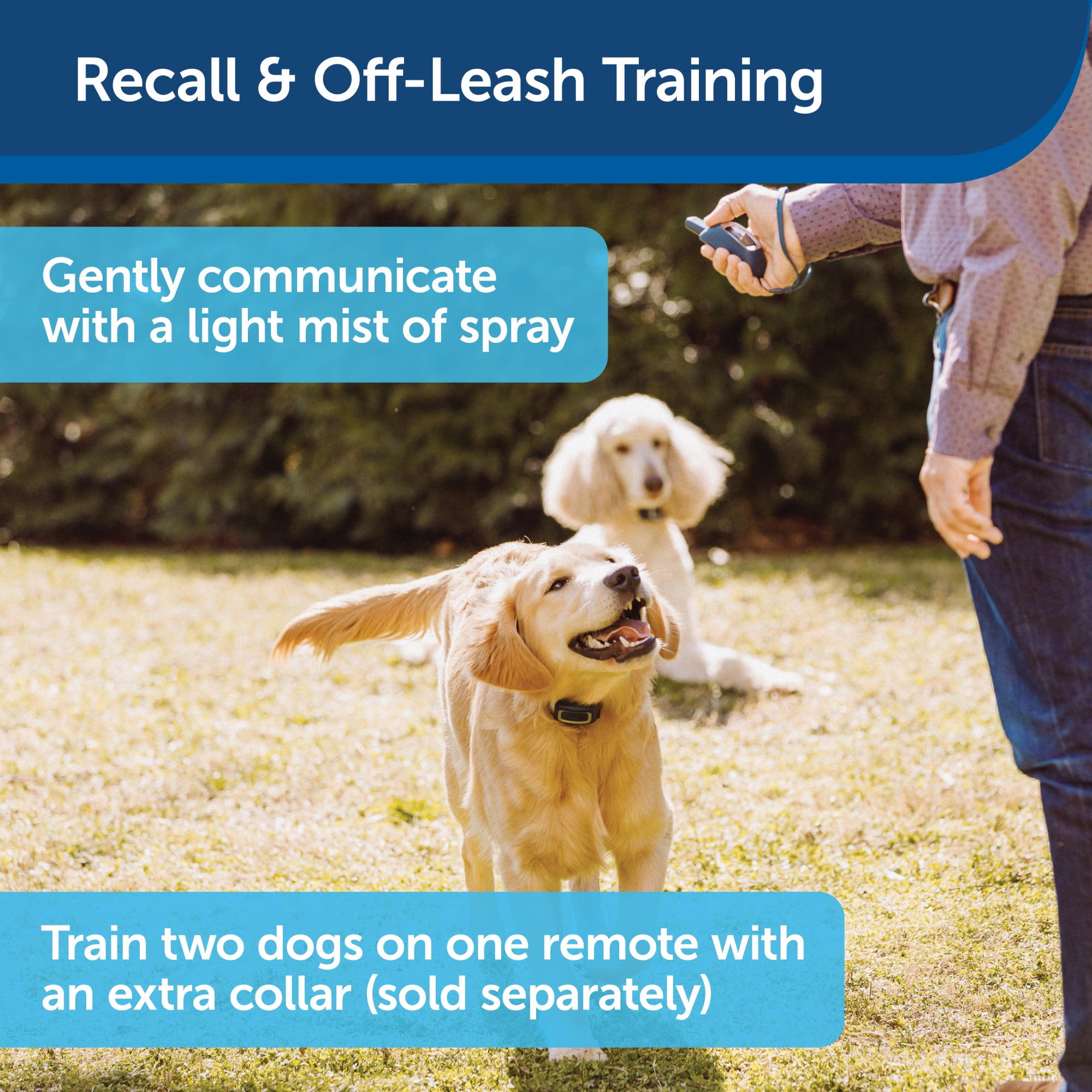 petsafe spray trainer