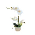 thumbnail image 1 of Yuarrent Orquídeas artificiales Flor Decoración para el hogar Ligero Decoración falsa Plantas Cuenco blanco Olla Cocina Oficina Balcón Decoración Blanco Yuarrent HA084089-02, 1 of 6
