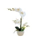 thumbnail image 1 of Bearachild Orquídeas artificiales Flor Decoración para el hogar Ligero Decoración falsa Plantas Cuenco blanco Olla Cocina Oficina Balcón Decoración Blanco Bearachild HA084089-02, 1 of 6
