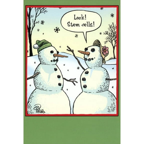 Nobleworks Stem Cells Dan Piraro Humorous / Funny Snowman Christmas Card (1 card/1 envelope)