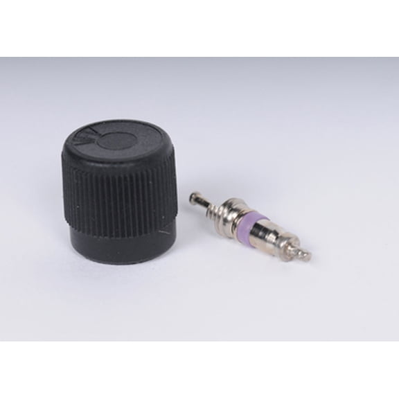 ACDelco Genuine GM Fuel Rail Service Valve