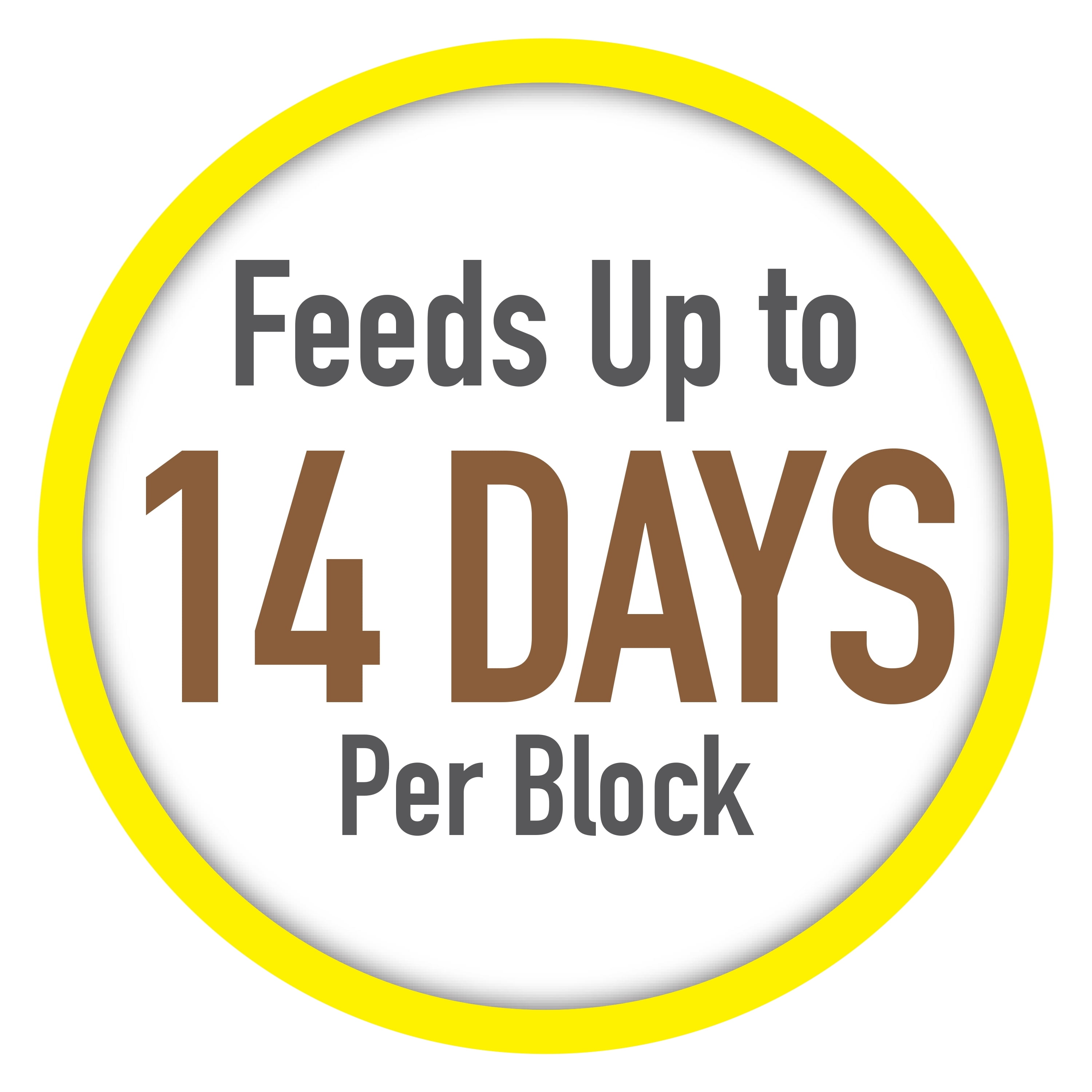 (4 pack) Tetra Vacation Tropical Feeding Block, Feeds Fish up to 14 Days, 1.06 oz., 1 Block