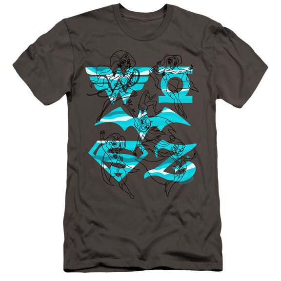 Dc Superhero Girls/Line Art Group HBO S/S Adult 30/1 T-Shirt Charcoal