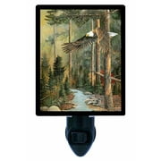Bald Eagle Decorative Photo Night Light Plus One Extra Free Switchable Insert. 4 Watt Bulb. Image Title: Wings of the North. Light Comes with Extra Bulb.