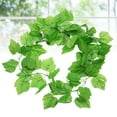 thumbnail image 3 of Toddmomy Artificial Grape Vine 12Pcs Pack Realistic Design for Wedding Decor and Indoor Use, 3 of 8