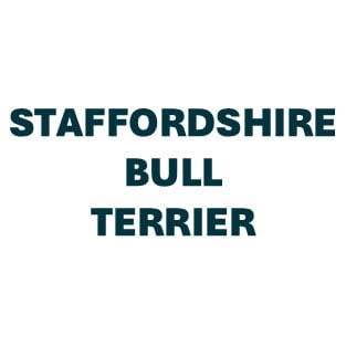 Staffordshire Bull Terrier Pill Butter