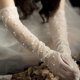 thumbnail image 2 of Guantes de boda para mujer, guantes largos de novia de tul, guantes de encaje con dedos blancos, guantes de ópera de los años 20, guantes transparentes para novias, blancos,, 2 of 5