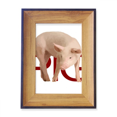 thumbnail image 1 of Pig Breeding Animals Photo Frame Exhibition Display Art Desktop Painting, 1 of 3