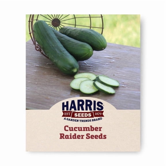Harris Seeds Raider F1 Cucumber Seeds, Early Slicing Cucumber Variety, 50 Count
