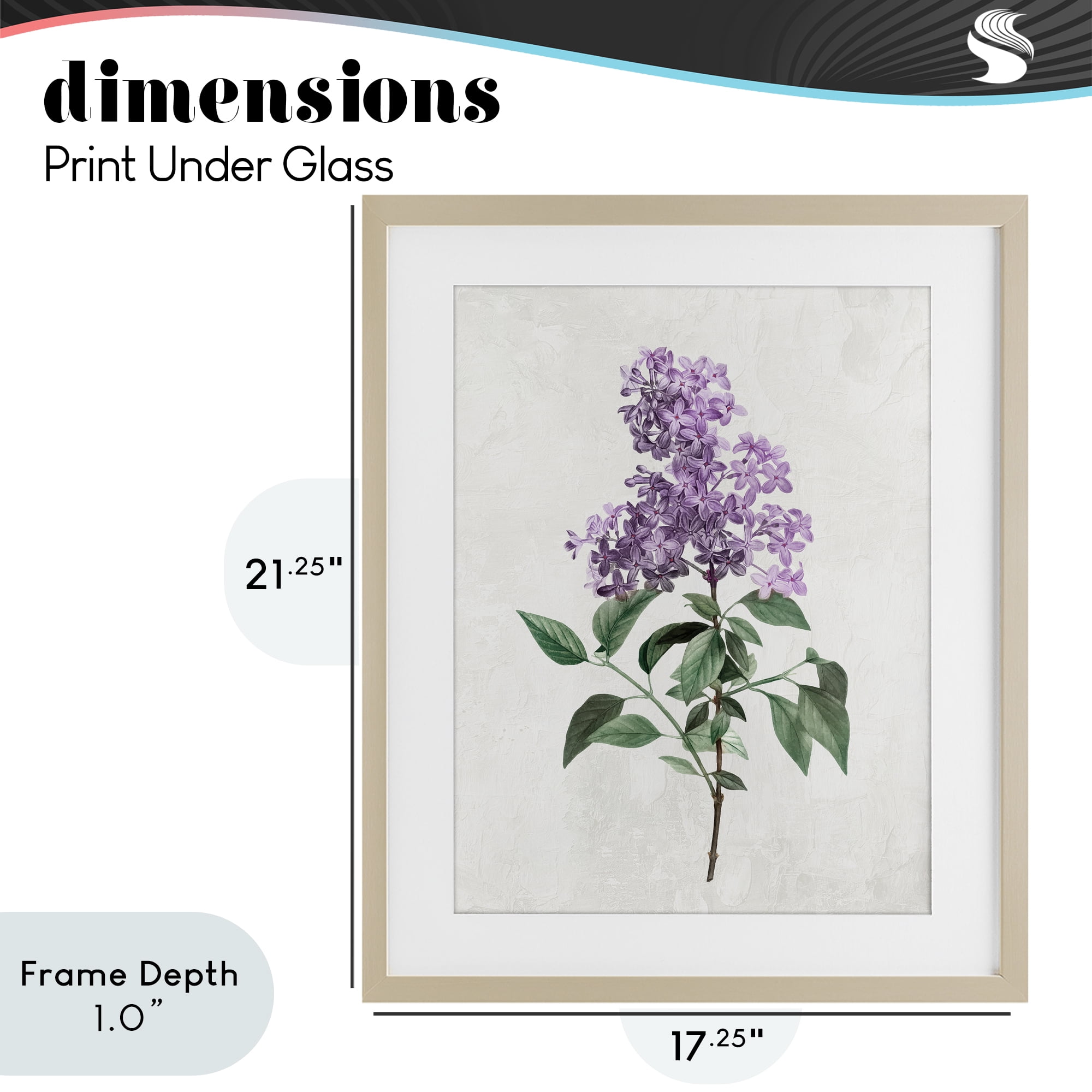 Stupell Industries Lilac Herb Blossoms Birch Framed Print Under Glass, design by Kim Allen