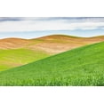 thumbnail image 2 of Wilson, Emily M. 24x17 White Modern Wood Framed Museum Art Print Titled - Pullman-Washington State-USA-Rolling wheat fields in the Palouse hills, 2 of 4