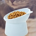 3pcs Plastic Raised Cat Food Bowls Food Water Tilted Feeding Bowl for