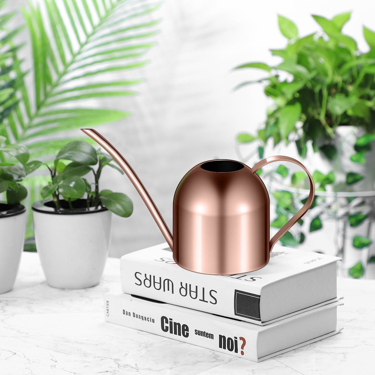 Topbathy 1000ml Stainless Steel Watering Can for Indoor Plants Succulents Long Spout Watering Pot for Office Copper