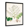 thumbnail image 2 of Designart 'Ancient Botanicals XVI' Farmhouse Framed Art Print, 2 of 4