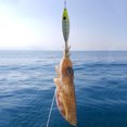 thumbnail image 4 of Señuelos de cebo de pesca Simulación realista suave con anzuelo de calamar (estilo C), 4 of 5