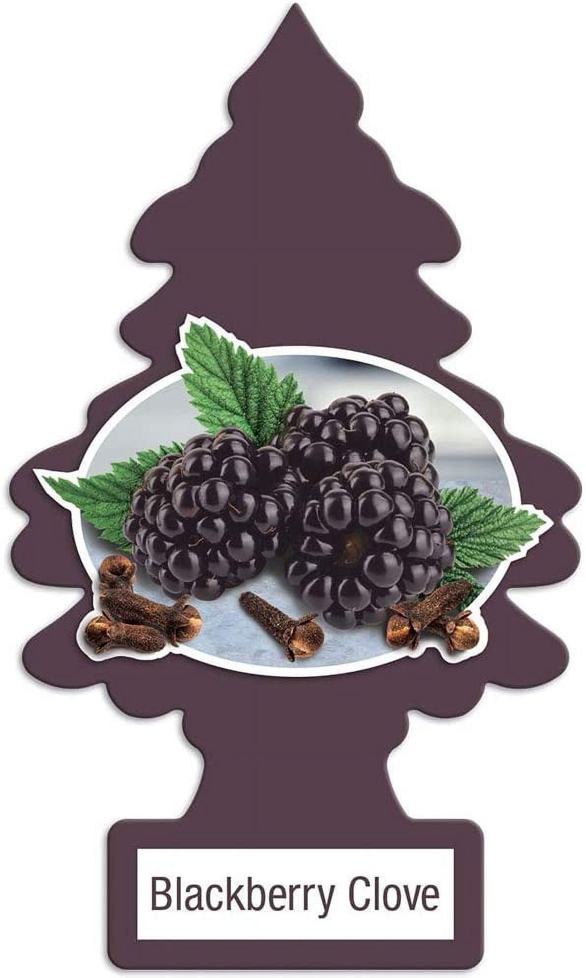 LITTLE TREES Car Air Freshener Hanging Tree Provides Long Lasting Scent for Auto or Home BLACK BERRY COVE Scent, 24 count