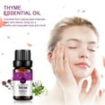 thumbnail image 3 of RAINBOW ABBY Thyme Essential Oil - 100% Pure Natural Thyme Oil for Skin, Diffuser & Candle Making Scent, 3 of 3