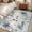Gray Blue, variant on 2x3 Door Mat Rug, Vintage Country Non-Skid Rubber Backing Large Rectangle Rugs - Living Room Bedroom Home Office, Vintage Rustic Texas Stars Plants Branch Indoor Floor Mat Carpets Washable Rug