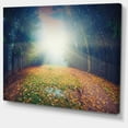 thumbnail image 2 of Soleil Levant sur Forêt Arquée, 2 of 3