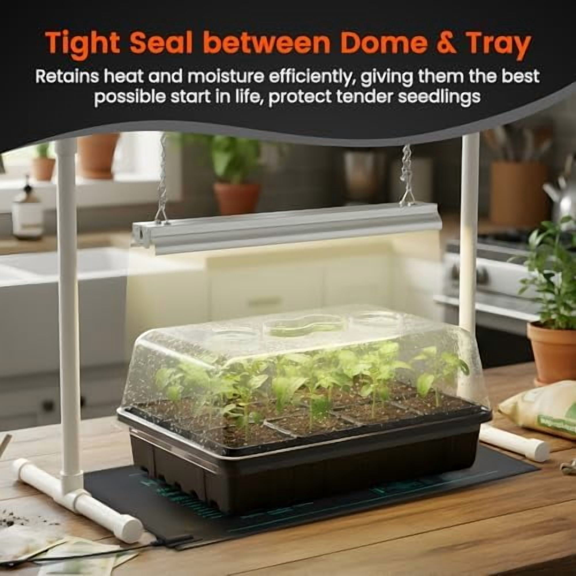 RibRave [Thick Plastic] 3-Set Strong Seed Starter Trays with 5" Humidity Domes for Seed Starting, Germination, Seedling Propagation & Plant Growing, Holds 144 Cells in Total