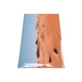 thumbnail image 4 of Fish Tank Background Decor, Aquarium Poster PVC Desert Style  For Underwater 122x50cm, 4 of 8