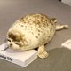 thumbnail image 3 of Juguetes de peluche de animales de algodón relleno, almohada con sello de Blob regordete, juguetes de peluche suaves y grandes para acuario en el océano, juguete para regalo, 3 of 5