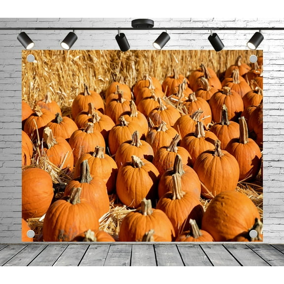 7x5ft Autumn Abundant Pumpkin Field Backdrop Photoshoot Photo Backdrop Nature Scenery Background for Theme Party Wedding Birthday Baby Shower Decoration Banner Photo Booth Studio Props
