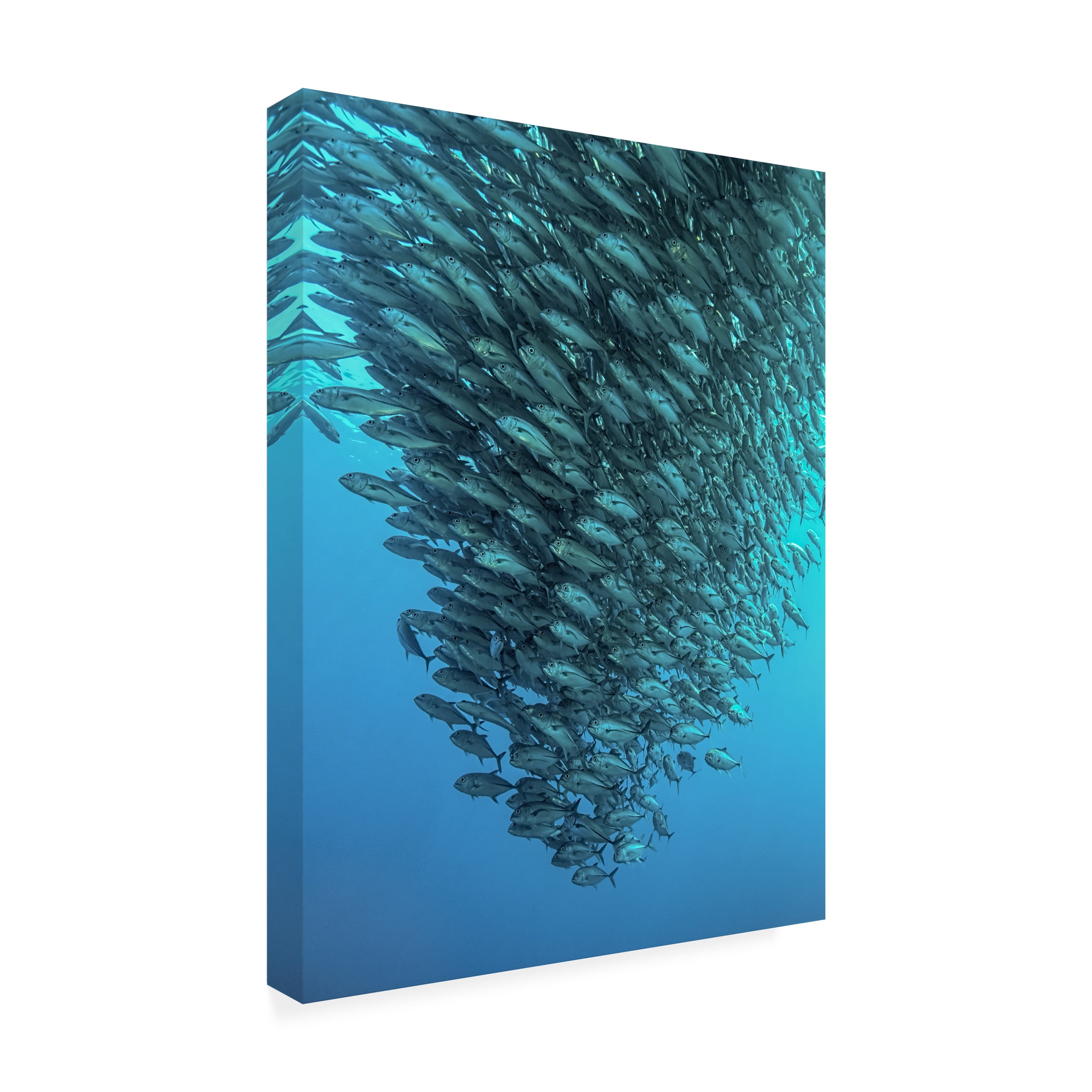 Henry Jager 'Schooling Jackfishes' Canvas Art