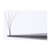 Russian Volume 4D D 0.07 (One Length Per Tray)