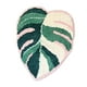 thumbnail image 2 of Alfombra de hojas verdes con plantas tropicales, antideslizante, absorbente de agua, suave para dormitorio B 80x120cm, 2 of 9