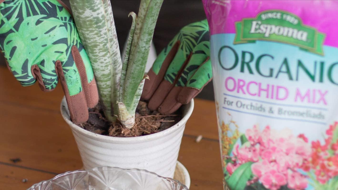 Espoma Orchid Potting Mix, Natural & Organic Premium Soil for Orchids & Bromeliads, 4 qt, Pack of 2